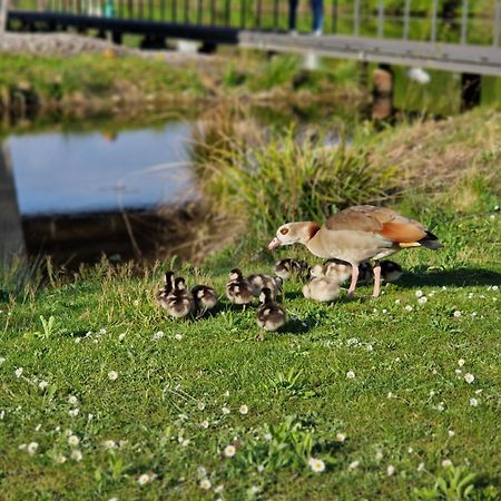 Hotel Am Kurpark Bad Wimpfen Zewnętrze zdjęcie